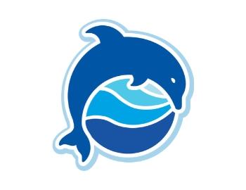 Gulf World Marine Park - Dolphin Activities
