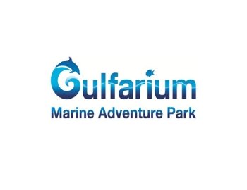 Activities in Ft. Walton Beach - Dolphin Show