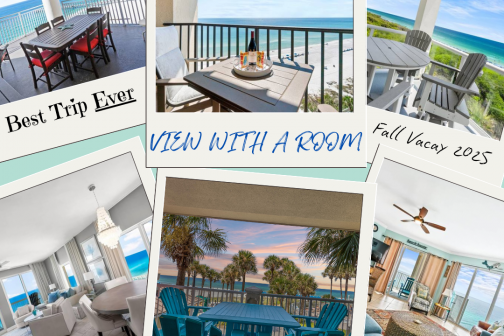 See More While Spending Less - Fall Into Savings - View With A Room