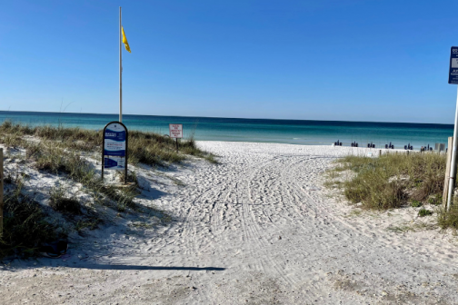 Walton Dunes Beach Access on 30A