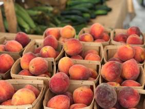 30A Farmers Markets