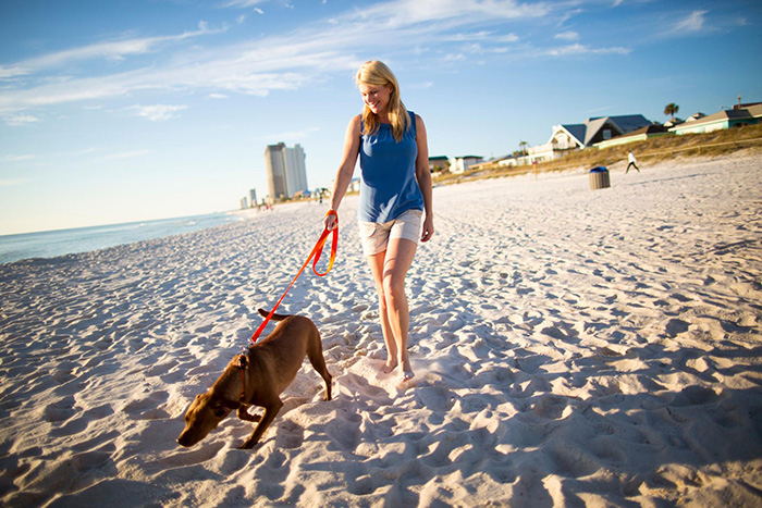 Walking dog on Dog Beach in PCB Florida