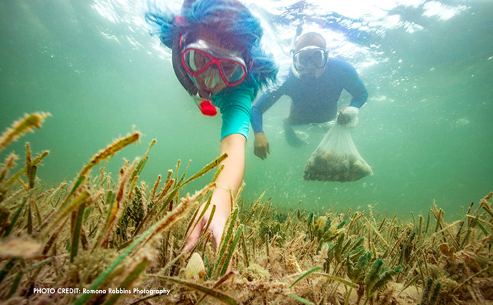 Scalloping on the Forgotten Coast Florida