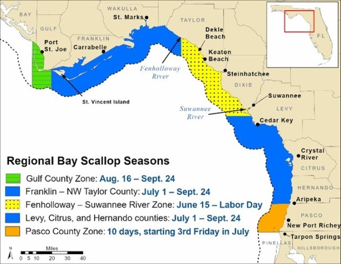 when is scallop season Florida panhandle